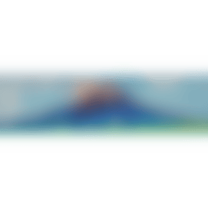 Mt. Fuji in Seven Colours - Where the universe and human life are (Kusama 397) (preview)