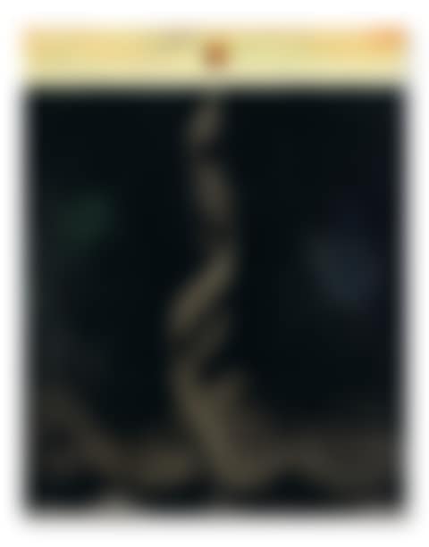 Ohne Titel (preview)