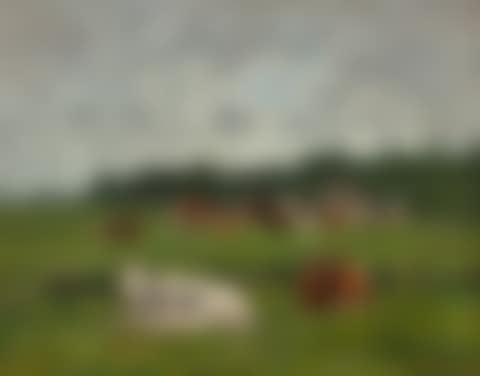 Paturage normand (preview)