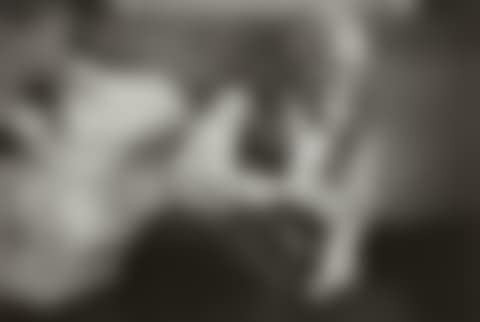 Alfred Stieglitz (preview)