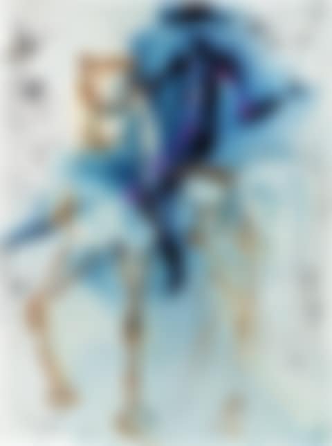 Le picador (preview)