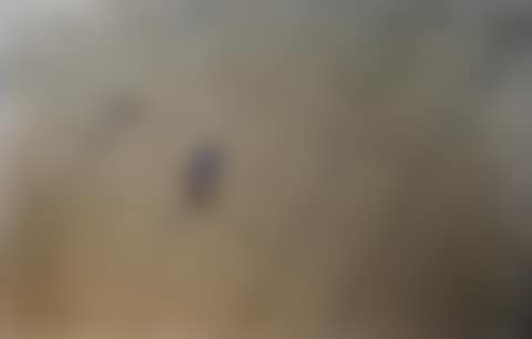 Untitled (#704-03) (preview)