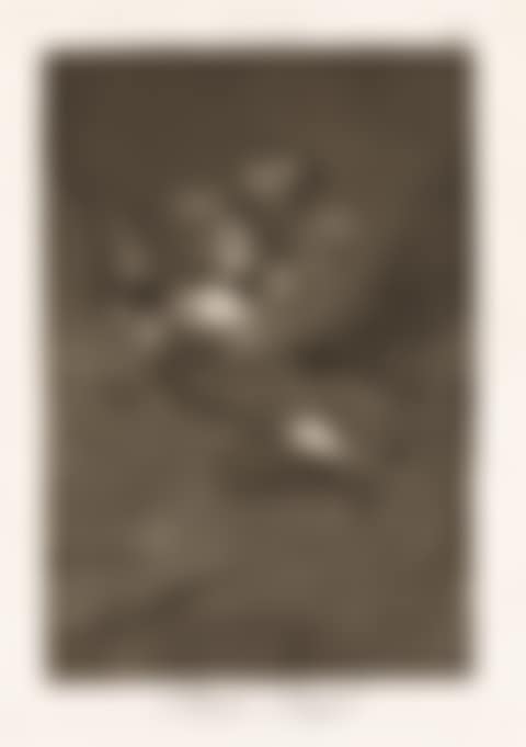 Buen Viage (preview)