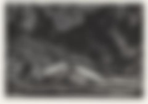 Forest Pool (preview)
