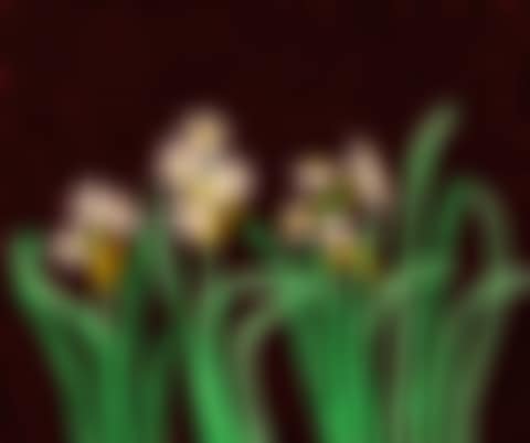 Flowers (preview)