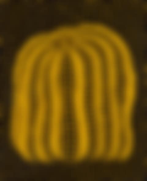 A Pumpkin (T) (preview)