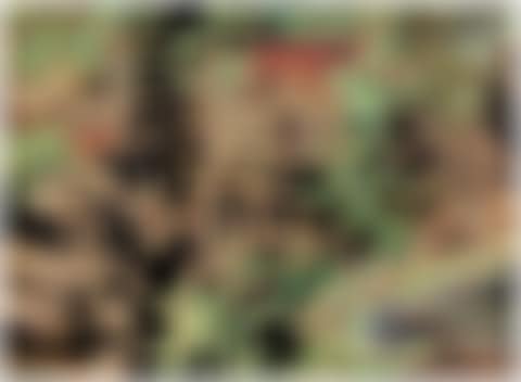 Village Market Scene (preview)