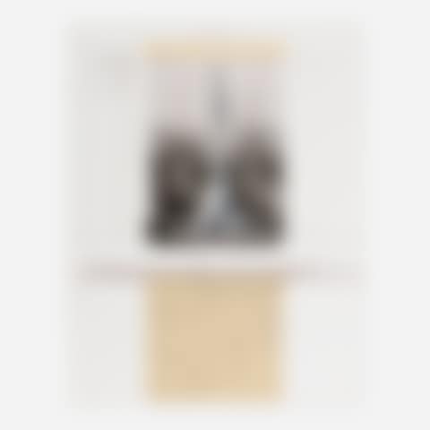 Untitled (from the Columbus: In Search of a New Tomorrow portfolio) (preview)