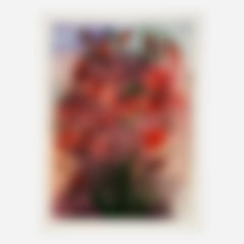 Red Pepper Lillies (preview)