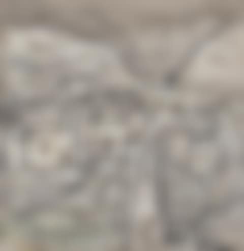 Untitled (Landscape) (preview)