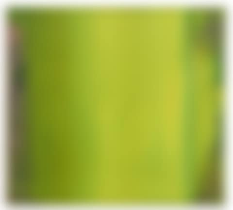Abstraktes Bild (preview)