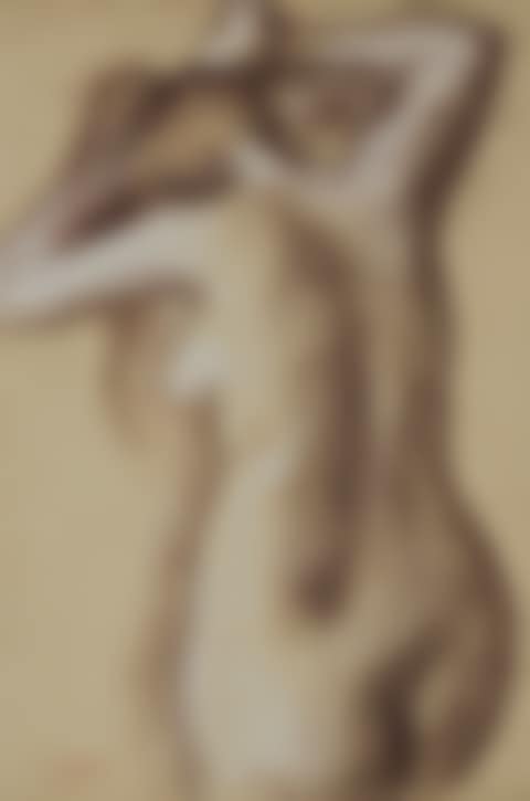 Jeune femme nue se coiffant (preview)