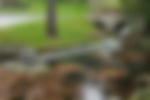 Gulliver (preview)