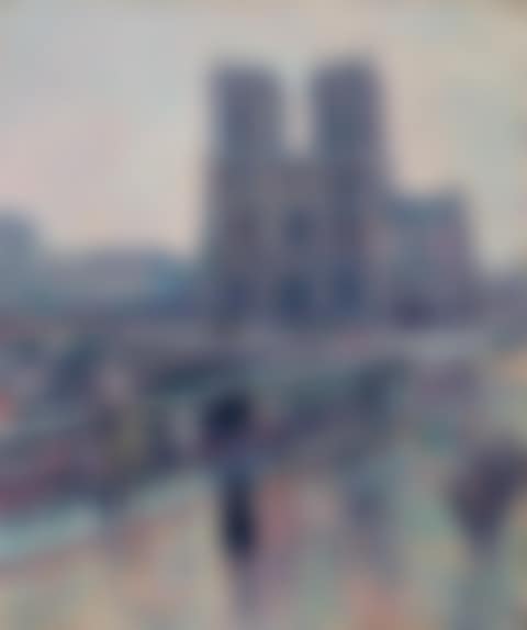 Bords de la Seine avec Notre-Dame sous la pluie (preview)