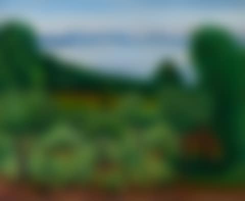 Baie de Saint-Tropez (preview)