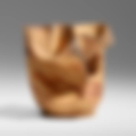 Exceptional vase (preview)
