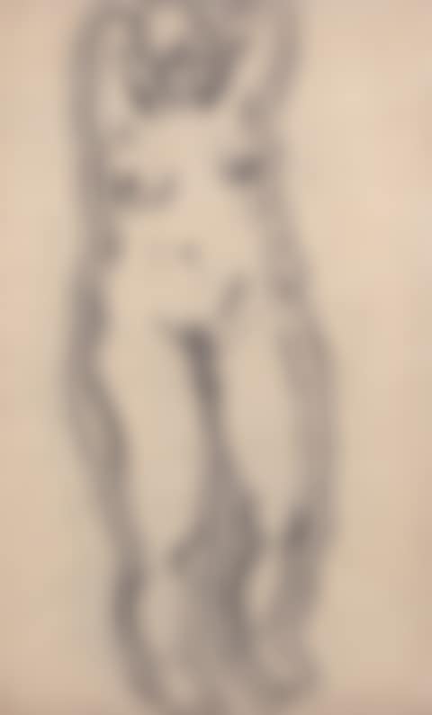 Standing Nude (preview)