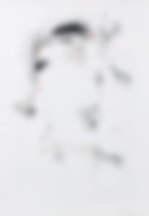 Alter Idem I (preview)