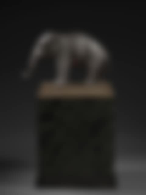 Eléphant d'Asie (preview)