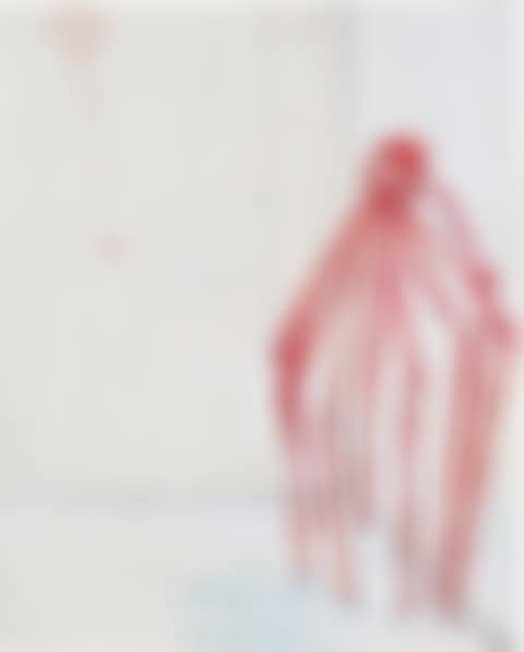 Spider (preview)