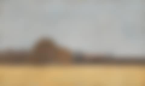 Landscape, Edge of Field (preview)