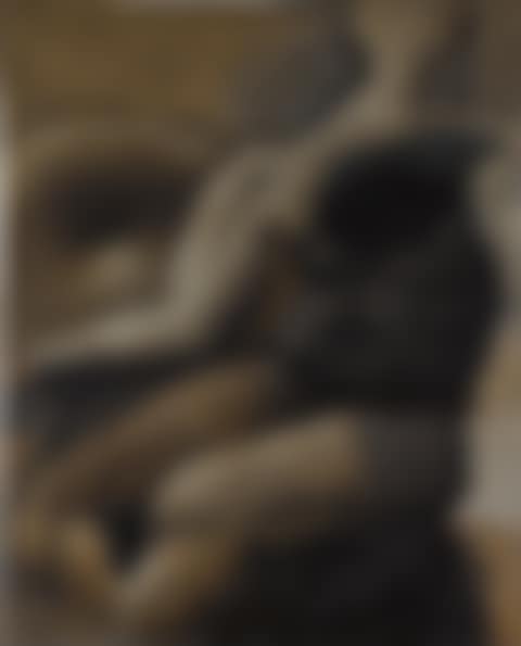 Untitled (preview)
