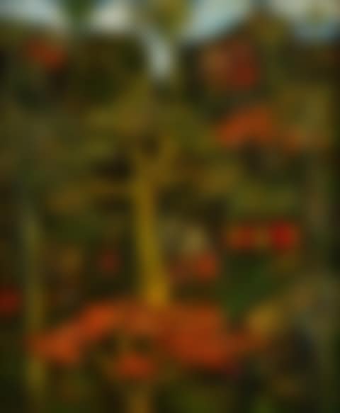 Paisaje (preview)