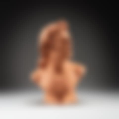 Bust of a Man (preview)