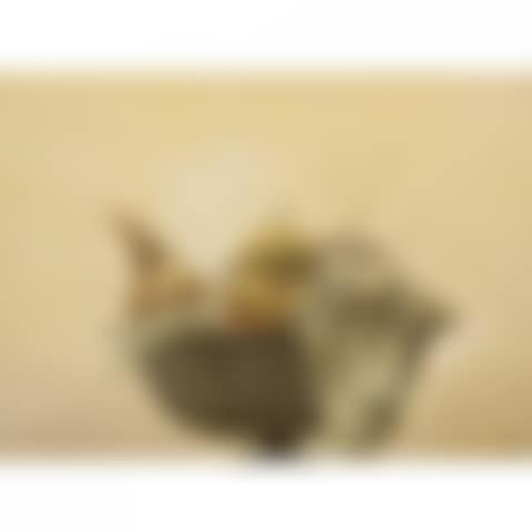 STILL LIFE (preview)