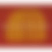 A PUMPKIN (RY) (preview)