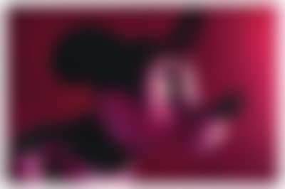 “Burgundy Mouse 2” (preview)