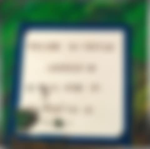 Welcome to Vietnam (preview)