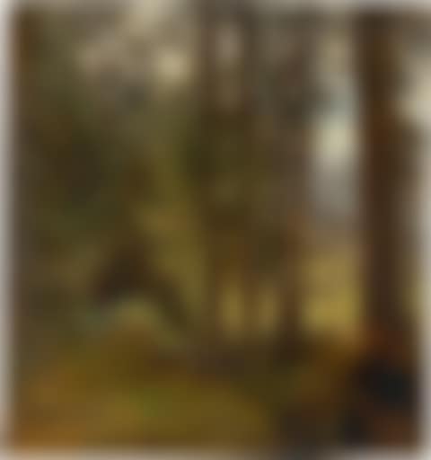 Mountain forest (preview)