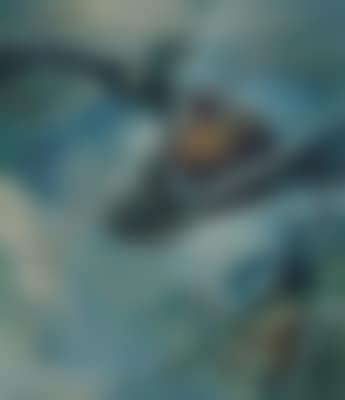 Paracadutista (preview)
