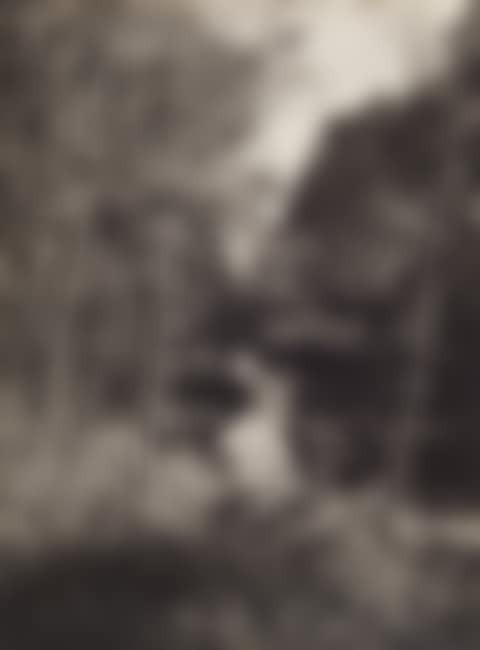Altrheinlandschaft (preview)