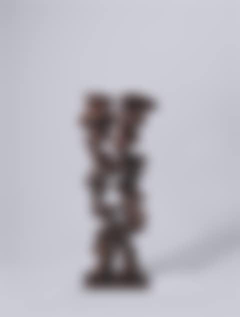 Untitled (from the series ”Rational Beings”) (preview)