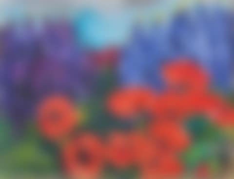 ”Mohn und blaue Lupinen” (preview)