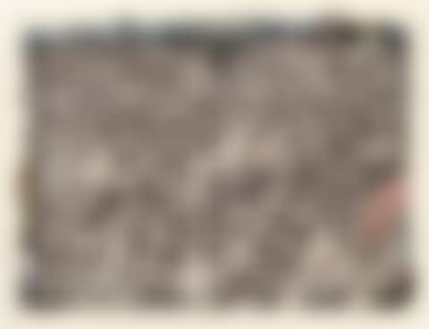 756 elephants on the TSAVO Border in "STARVO" / for The End of the Game / Last word from Paradise (preview)