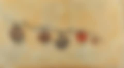 Strauchtomaten (preview)