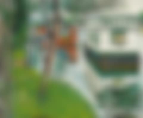 House Boats, Loch Lomond (preview)