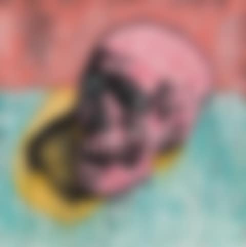 Untitled (TBC-Self-Portrait Warhol Skull) (preview)