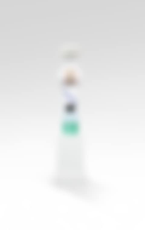 Totem Rangoon (preview)