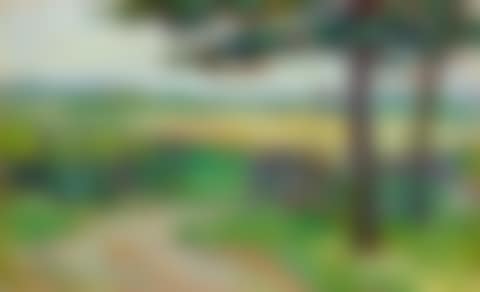 Weg mit Gatter (preview)