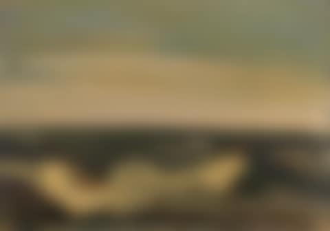 Dünenlandschaft (preview)