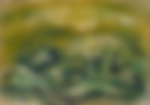 Paysage (preview)