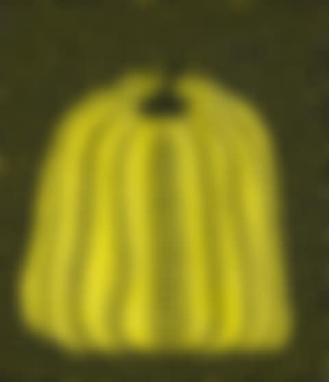 Pumpkin (preview)
