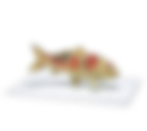 PixCell-Carp #5 (preview)
