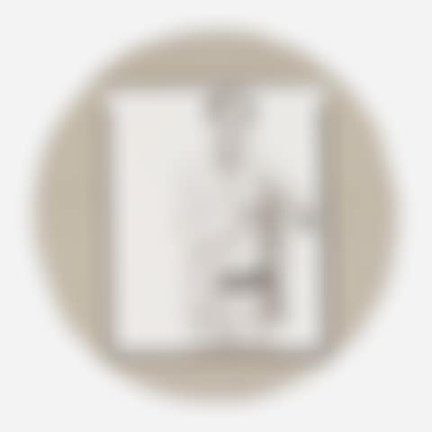 Untitled (from Self-Portrait in a Convex Mirror) (preview)