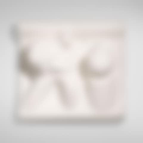 Enlightened Worker (preview)