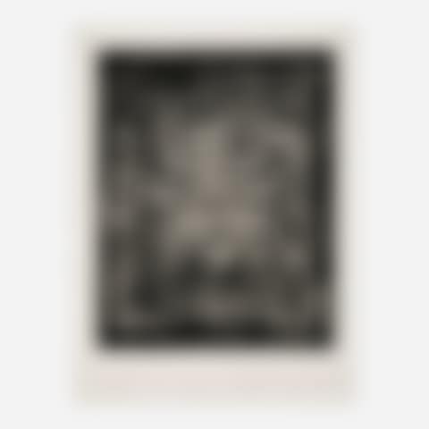 Untitled V (preview)